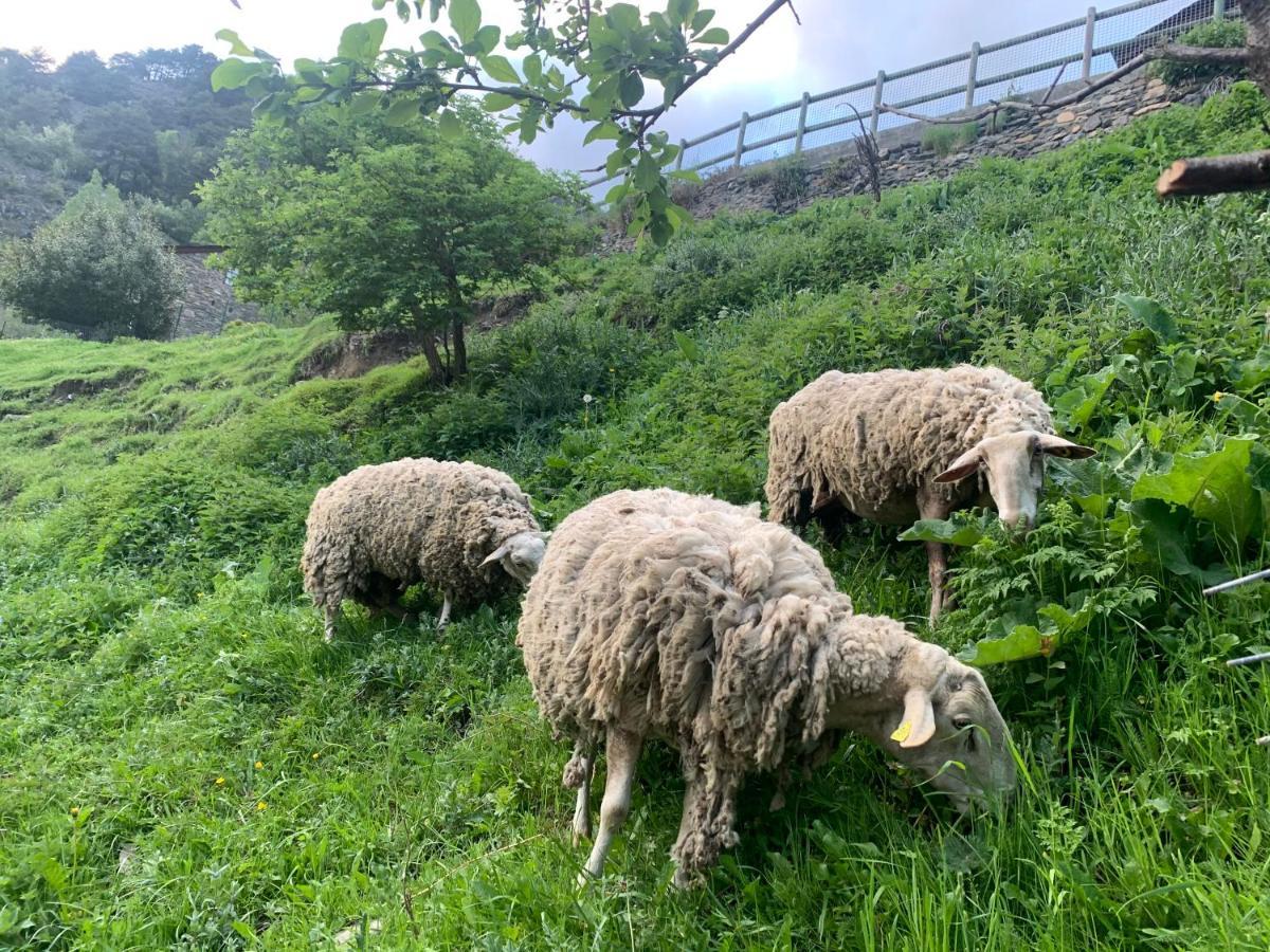 Апартаменты Siscaro - Peu Del Riu 310 - Vall D'Incles - Soldeu Экстерьер фото